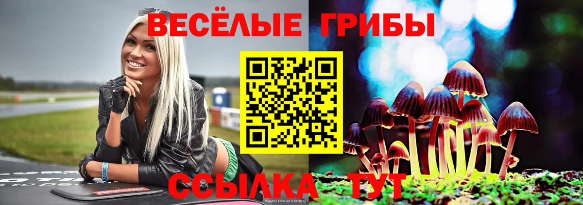Псилоцибиновые грибы прущие грибы Краснознаменск