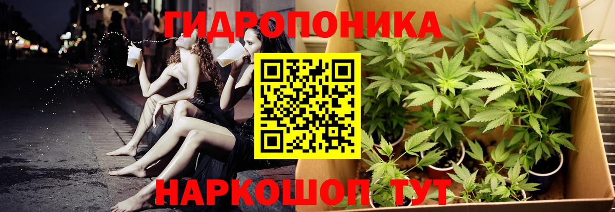 Краснознаменск  Шишки марихуана OG Kush  Вход с VPN  Конопля THC 21%  Марихуана Bruce Banner  Бошки марихуана SATIVA & INDICA 